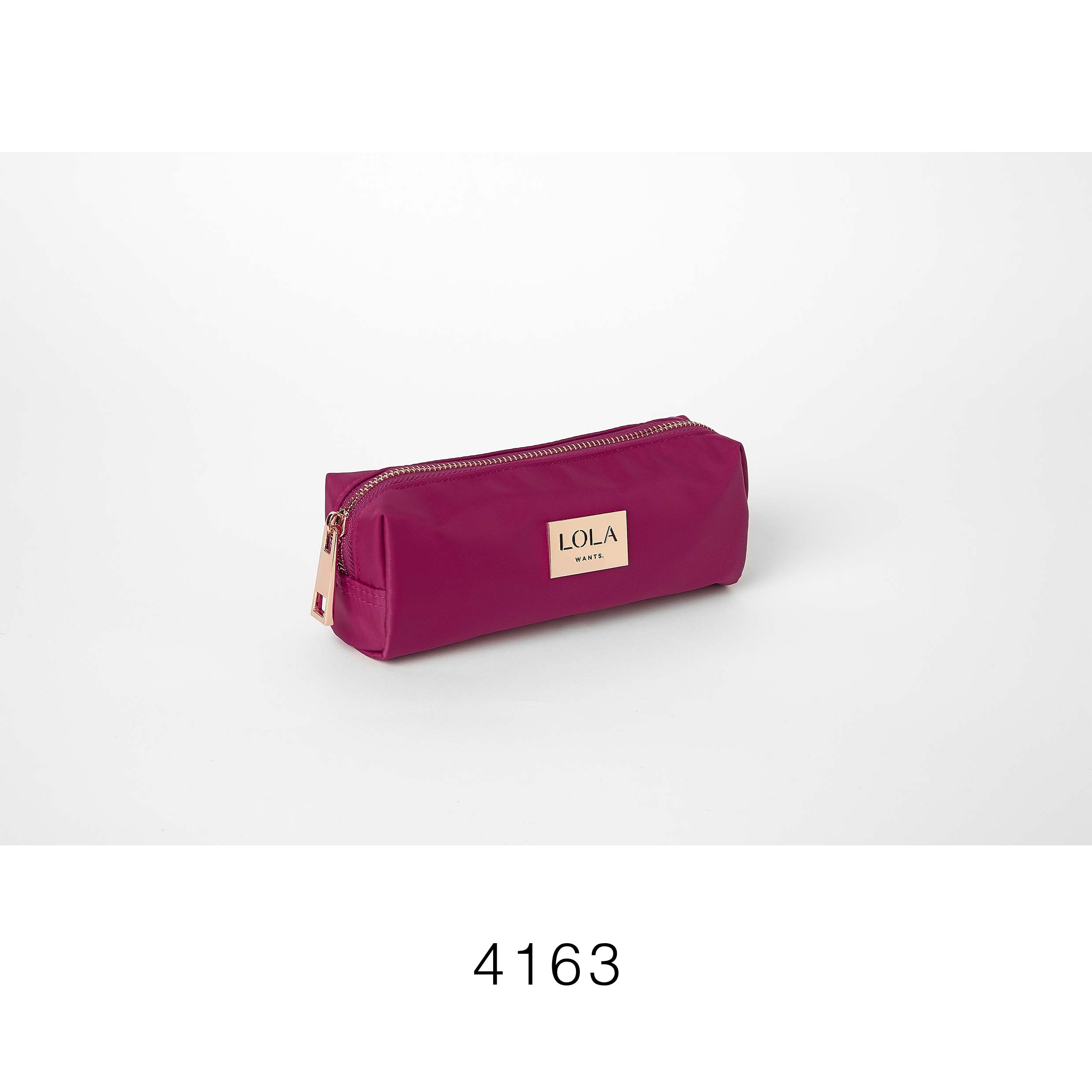 4163 copie