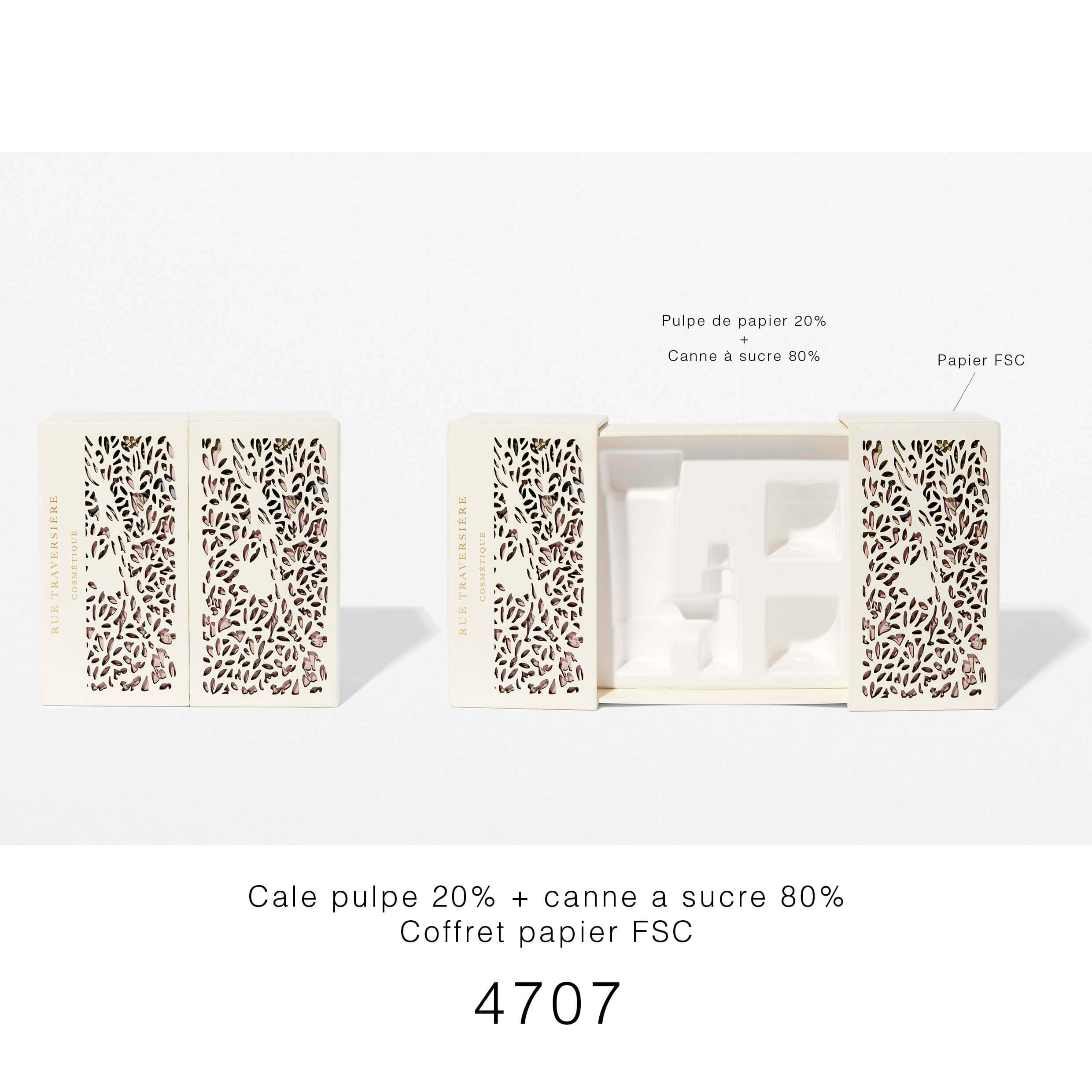 4707 Francais (2)