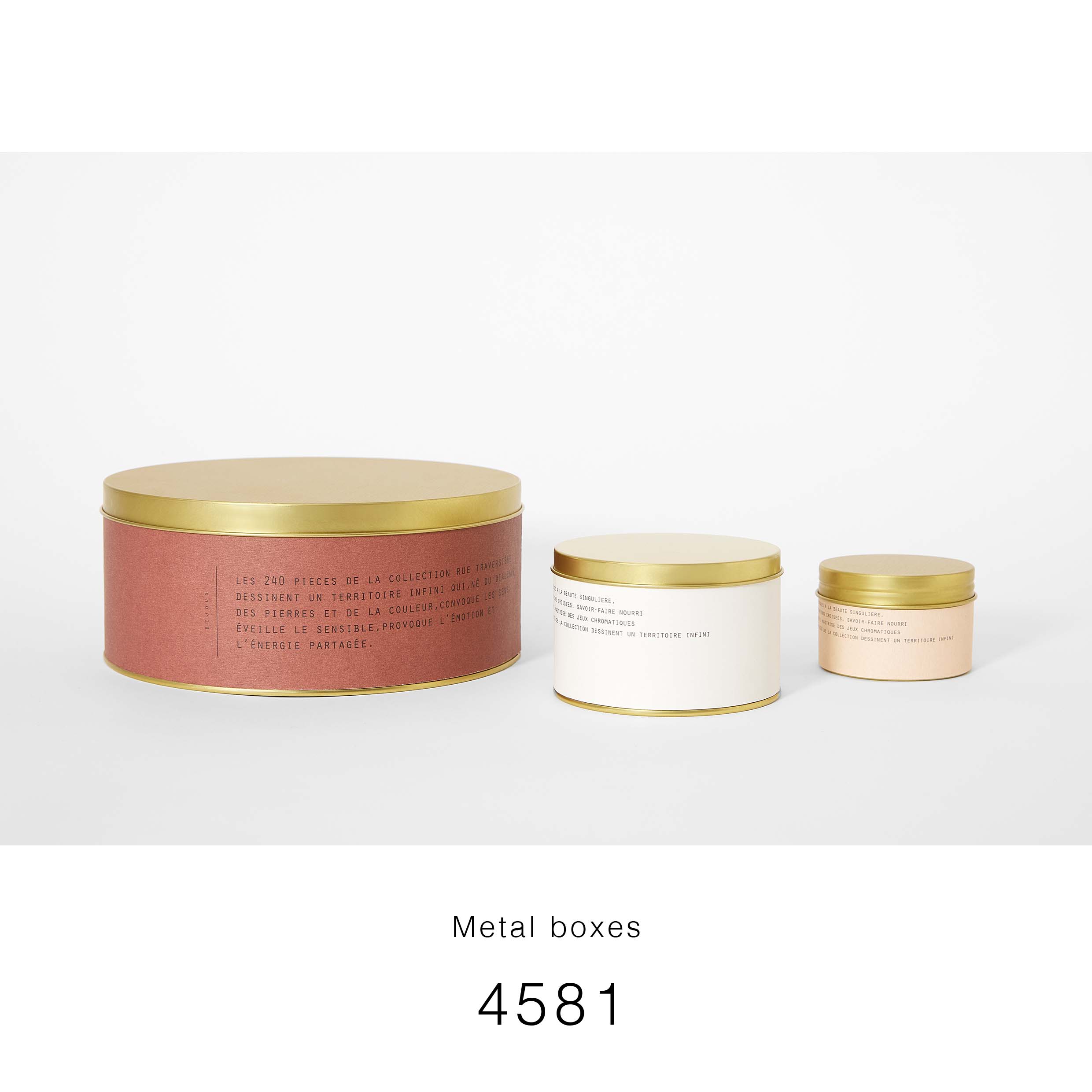 4581 copie en