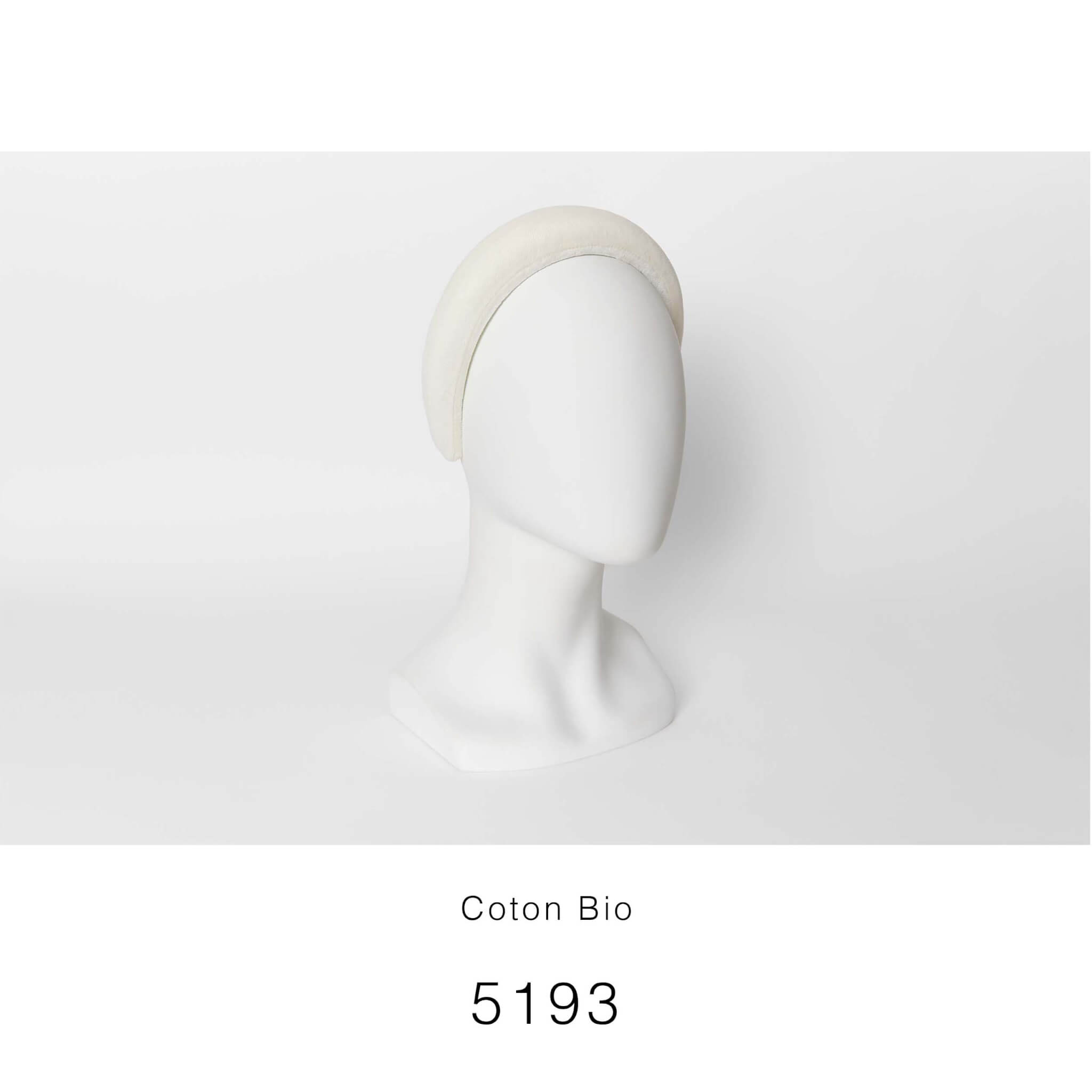 5193fr