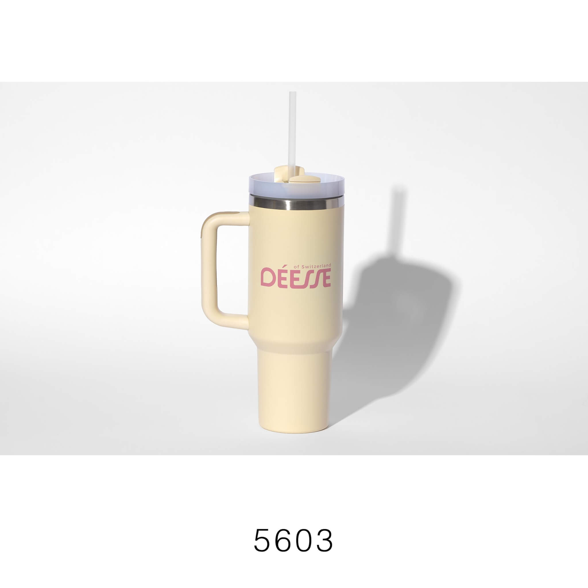 5603