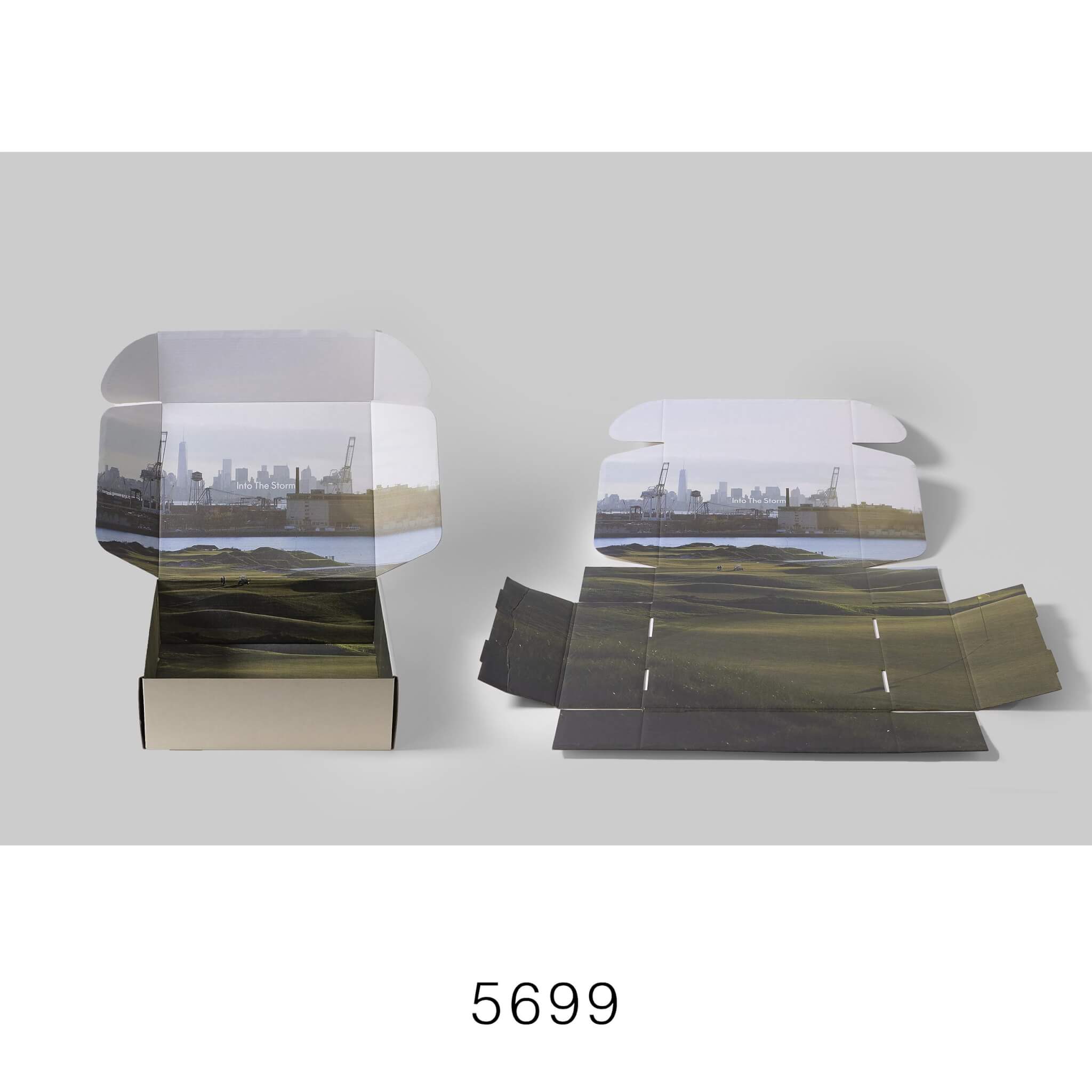 5699